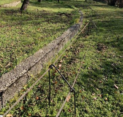 recinto anti cinghiale badifarm_1.jpg