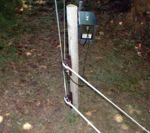 Badi_farm_electric_tape_band_fence_wild_animals_wildboards_boar_protect_intrusion_antiboar