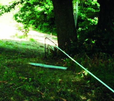 Badi_farm_electric_tape_band_fence_wild_animals_wildboards_boar_protect_intrusion_antiboar