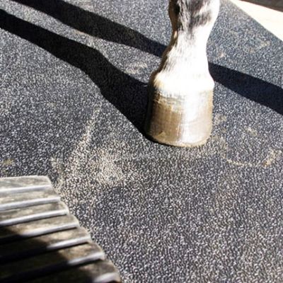 Badi_farm_tappeti_gomma_pavimenti_box_cuccia_cavallo_cane_lastra_allevamento_vulcanizzata_scuderia_stalla