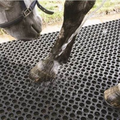 Badi_farm_tappeti_gomma_pavimenti_box_cuccia_cavallo_cane_lastra_allevamento_vulcanizzata_scuderia_stalla