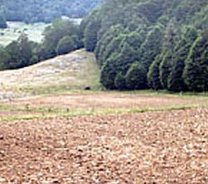 Badi_farm_electric_tape_band_fence_wild_animals_wildboards_boar_protect_intrusion_antiboar