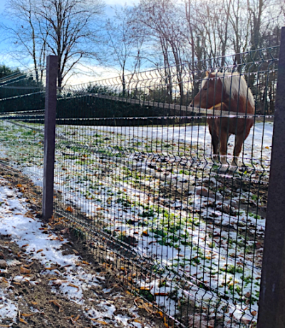 rete metallica bf_5.png