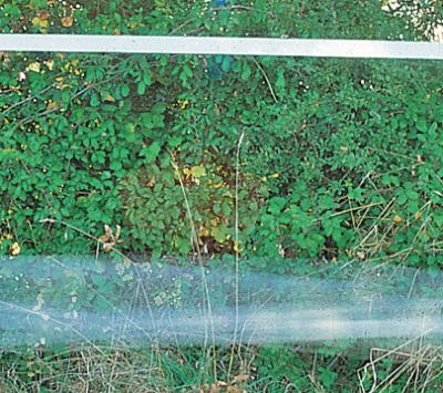 Badi_Farm_horses_livestock_animals_pet_fences_tapes_electric_rubber_floors_hay_mangers_cow_shockproof_insulators_equestrian_boxes_paddock