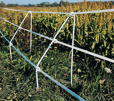 Badi_farm_electric_tape_band_fence_wild_animals_wildboards_boar_protect_intrusion_antiboar