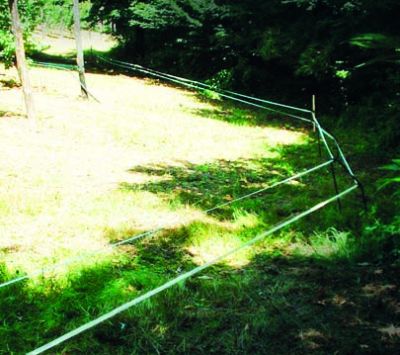 Badi_farm_electric_tape_band_fence_wild_animals_wildboards_boar_protect_intrusion_antiboar