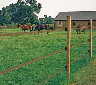Badi_farm_nastro_recinto_elettrico_cavalli_isolatori_corda_banda_recinzione_allevamento_scuderia_paddock