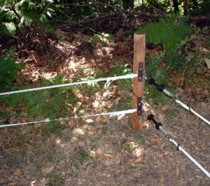 Badi_farm_electric_tape_band_fence_wild_animals_wildboards_boar_protect_intrusion_antiboar