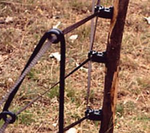 Badi_farm_electric_tape_band_fence_wild_animals_wildboards_boar_protect_intrusion_antiboar