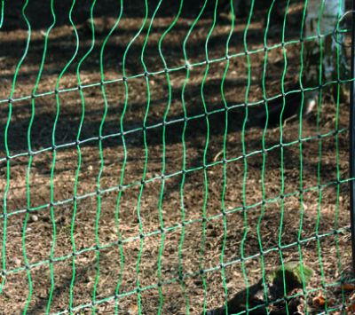 Badi_farm_recinti_rete_nastro_polli_galline_conigli_cani_gatti_cavalli_bovini_cani_selvatici_nastro_recinto_corda_elettrico_elettrificata_tappeti_gomma_box_scuderie_paddock_mangiatoie_abbeveratoi_fieno_recinzione_rete