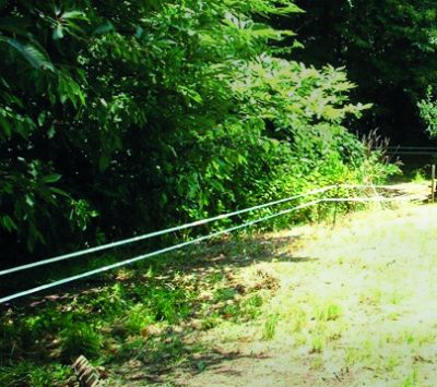 Badi_farm_electric_tape_band_fence_wild_animals_wildboards_boar_protect_intrusion_antiboar