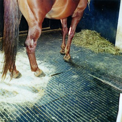 Badi_farm_tappeti_gomma_pavimenti_box_cuccia_cavallo_cane_lastra_allevamento_vulcanizzata_scuderia_stalla
