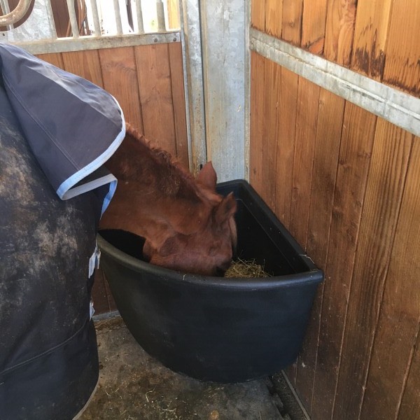 Hay Feeder Detail